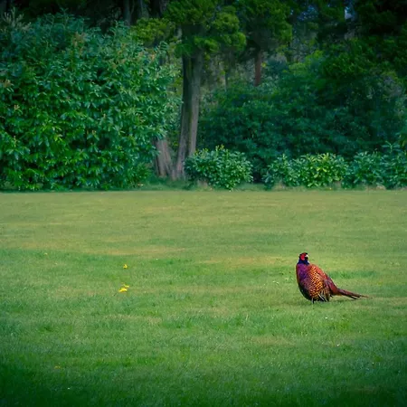 Stanley House 3* Eskdale