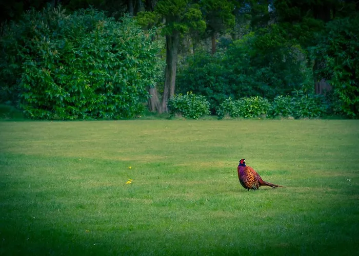 Stanley House 3* Eskdale